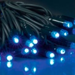 LED Tree Light Lichterkette blau 8m / Kabel grün