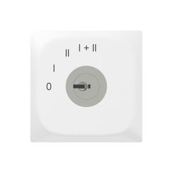 Schlüsselschalter, 1/1L, weiss-gländzend Einsatz, Sidus, 25A, 250V, 60x60mm